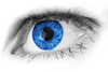 Blue Eye Detail Image