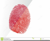 Fingerprint Clipart Image
