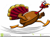Free Clipart Turkeys Running Image