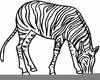 Zebra And Other Animal Clipart Image