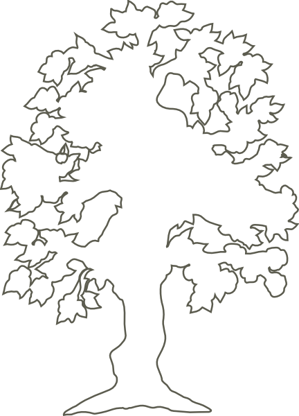 clip art free tree outline - photo #38