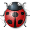 Bug Red Image