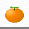 Free Mandarin Orange Clipart Image