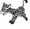 Zebra Image