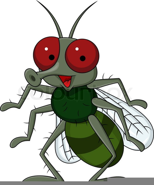 clipart fruit flies