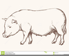 Pig Side View Clipart Image