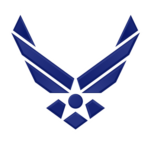 Air Force TBI Service Dog