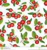 Free Clipart Cranberry Image