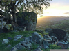 Nut Tree Boulders Image