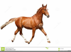 Morgan Horse Clipart Image