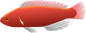 Fish 18 Clip Art