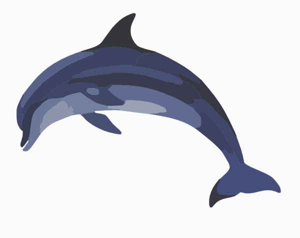 clipart dolphin pictures - photo #38