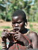 Mursi Tribe Cattle Image