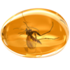 Amber Icon Image