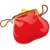 Purse Icon Image