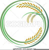 Clipart Rice Plant Image