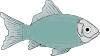 Generic Fish Clip Art