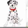 Dalmatian Puppy Clipart Image