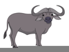 Cape Buffalo Clipart Image