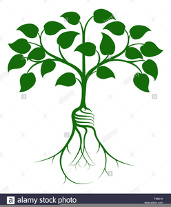 Tree Growing Clipart Image