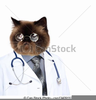 Funny Clipart Of Doctor Image