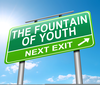 Fountain Of Youth Clipart Image