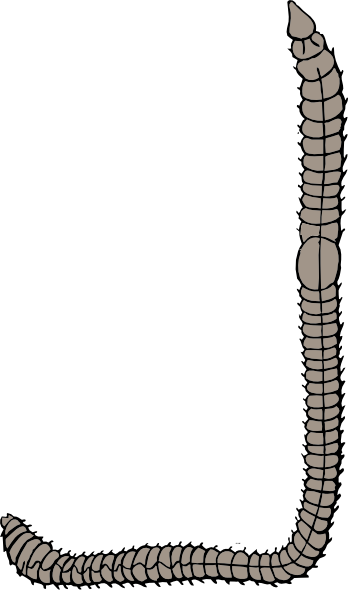 clip art earthworm