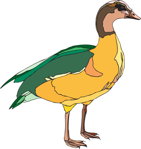 green duck clipart - photo #11