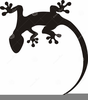 Free Clipart Salamander Image