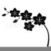 Black Orchid Clipart Image