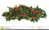 Christmas Ivy Clipart Image