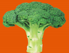 Food Broccoli Image