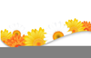 Free Sunflower Clipart Image