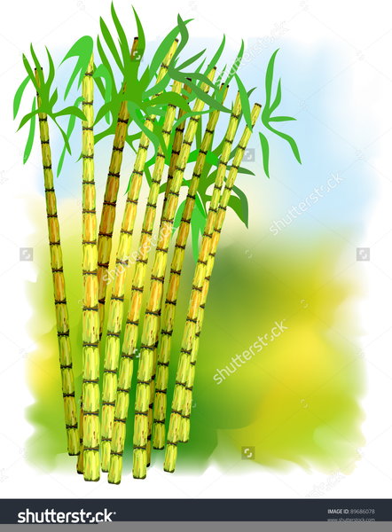 Free Sugar Cane Clipart | Free Images at Clker.com - vector clip art