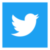 Twitter Icon Square Logo Preview Image