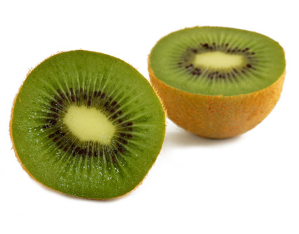 free kiwi fruit clipart - photo #29
