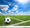 Free Clipart Soccer Field Image