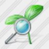 Icon Sprouts Search Image