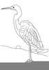 Heron Coloring Pages Image