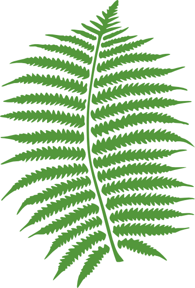 clip art fern leaf - photo #3