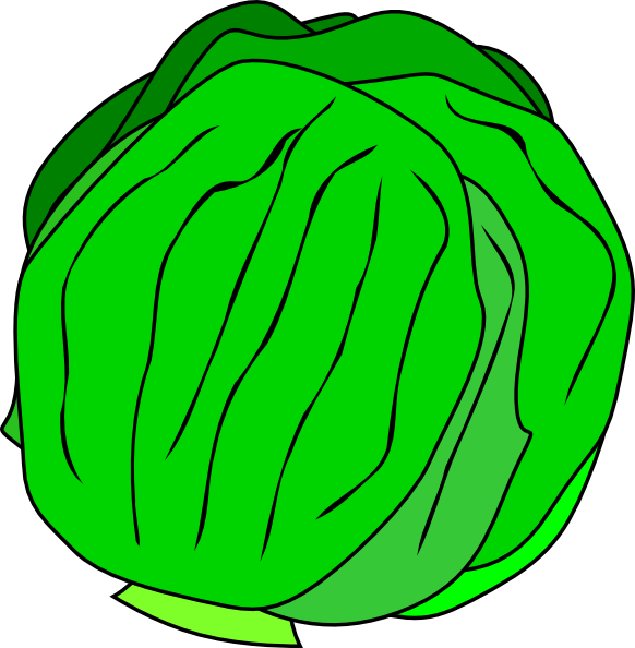 lettuce leaf clip art - photo #7