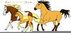 Clipart Foal Image
