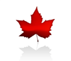 Maple Leave Clipart Image