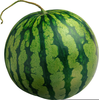 Watermelon Seeds Clipart Image