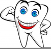 Free Happy Tooth Clipart Image