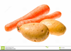 Free Clipart Carrot Image