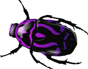 Purple Beetle Clip Art