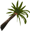 Palm Tree Clip Art