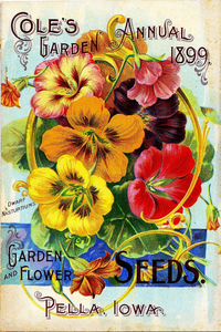 Vintage Seed Packet Clipart Image