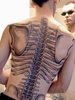 Skeleton Spine Tattoo Image